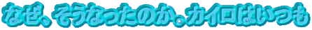 �Ȃ��A�����Ȃ����̂��B�J�C���͂���