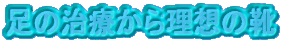 ���̎��Â��痝�z�̌C